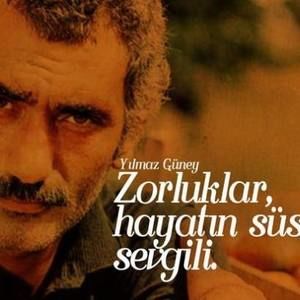 Meet your Posher, Devran